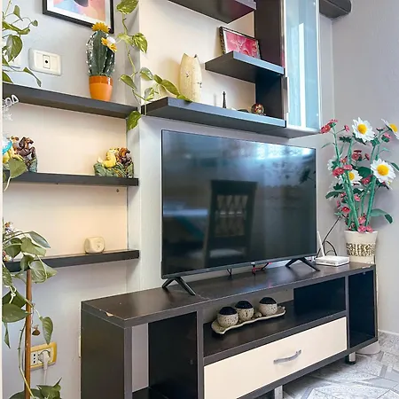 Near The Apartament *